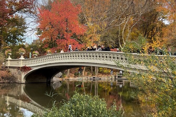 Central Park Guided Tours Pedicab - Minton Tiles at Bethesda Arcade: The Detail Stop That Feels Like a Secret