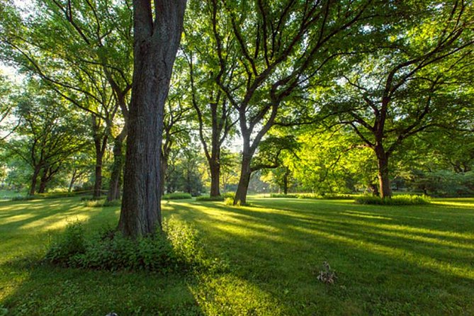 Central Park Guided Walking Tour - Price and value: $44.20 for two hours in Central Park
