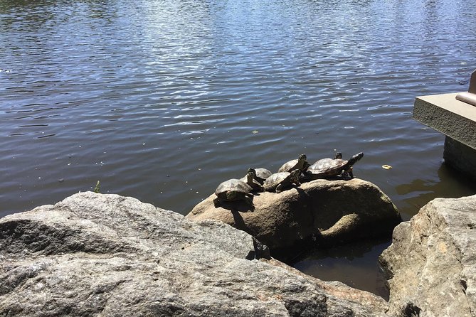 Central Park Guided Walking Tour - Getting the most from your guide (and your shoes)