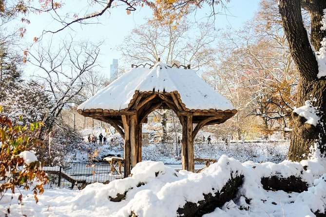 Central Park Guided Walking Tour in French - Jacqueline Kennedy reservoir: unusual corners, real breathing space
