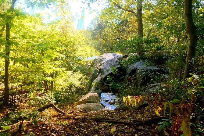 Central Park Guided Walking Tour - Natural Marvels - Key Things to Know Before You Go