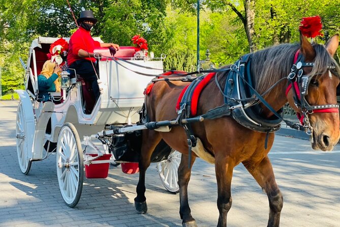 Central Park Horse and Carriage Rides - Driver Stories and Photo Moves: What to Expect and What to Watch