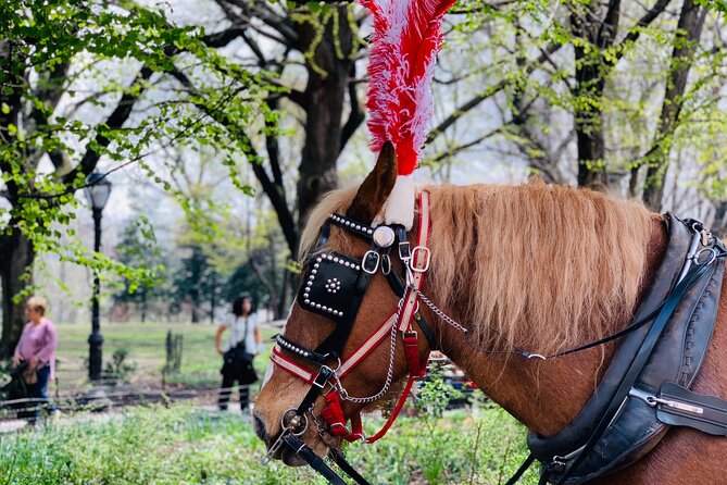 Central Park Horse and Carriage Rides - Price and Value: Is $189 Per Group Worth It?