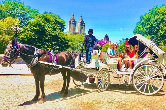 Central Park Horse and Carriage Rides - Meeting Point and Getting Ready: The Small Details That Matter