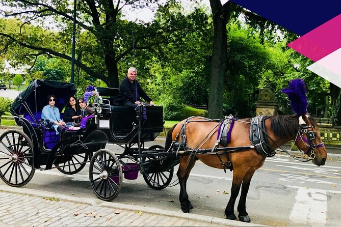 Central Park Horse and Carriage Rides - Should You Book This Central Park Horse and Carriage Ride?