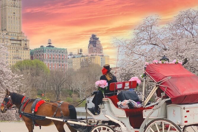 Central Park Horse and Carriage Rides - FAQ