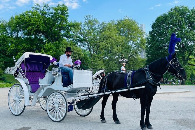 Central Park Horse and Carriage Rides - 45 Minutes or 60 Minutes: Which Ride Length Fits Your Priorities