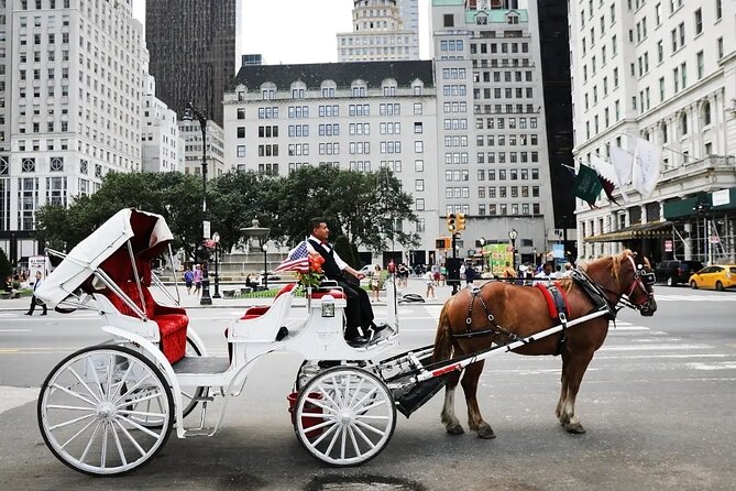 Central Park Horse Carriage Ride - Key highlights before you go
