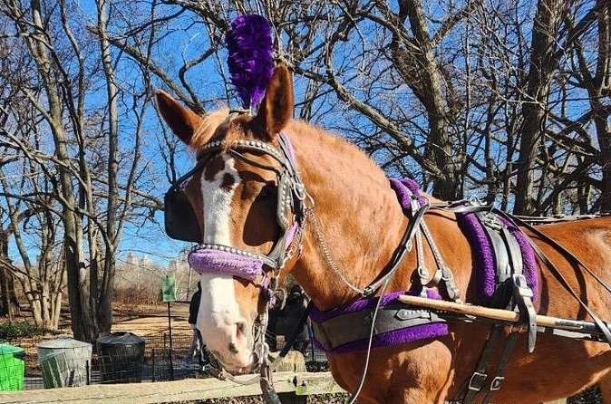 Central Park Horse Carriage Ride - Zoo time, a dash of heroism, and the Literary Walk vibe