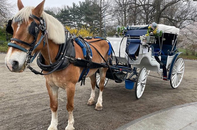 Central Park Horse Carriage Ride - Conservatory Water, Bethesda Terrace, and the Mall’s elm tunnel