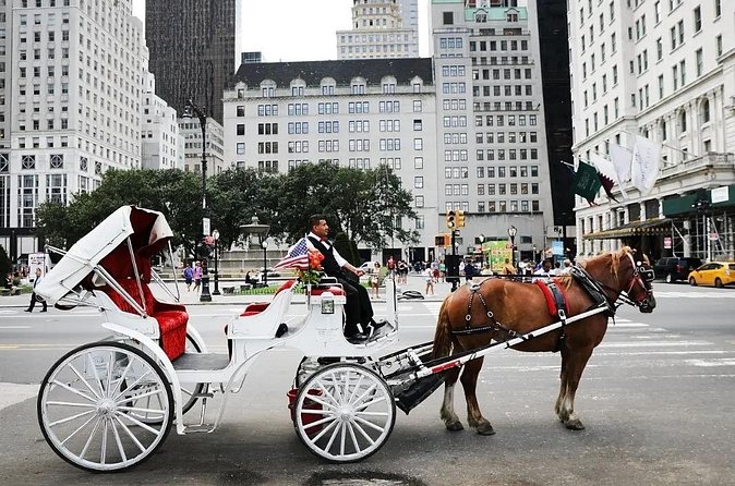 Central Park Horse Carriage Ride - Sheep Meadow, Tavern on the Green, and Pinebank Arch