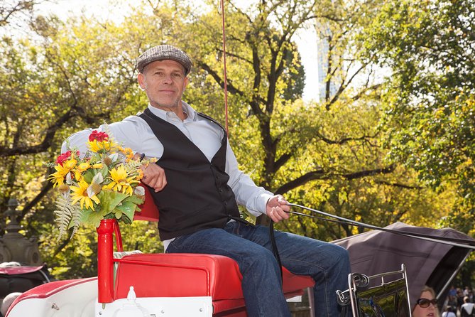 Central Park Horse Carriage Ride Short Loop (Up to 4 Adults)) - Your Carriage Comfort: Blankets, Optional Roof, and Horse Treats