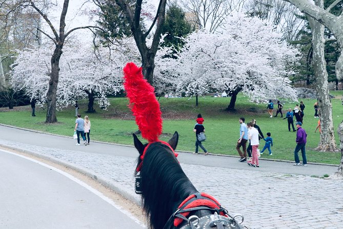 Central Park Horse Carriage Ride Short Loop (Up to 4 Adults)) - The Guide Experience: Friendly, Communicative, and Human