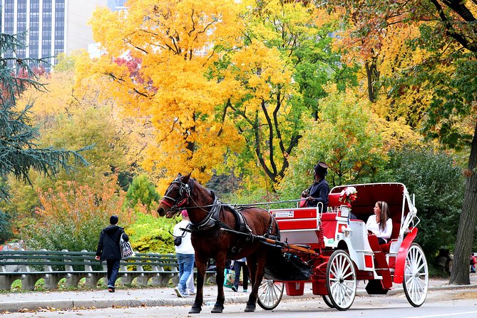 Central Park Horse Carriage Ride Short Loop (Up to 4 Adults)) - Who This Short Loop Is Best For (and Who Should Rethink It)