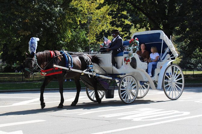 Central Park Horse Carriage Ride - Cop Cot, Wollman Rink, and the classic southern sights