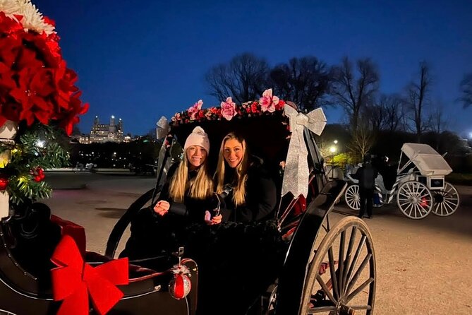 Central Park Moonlight Tour with Photo (45 min) ~ Skip the line - Central Park Moonlight pickup: finding the carriages fast at Central Park South