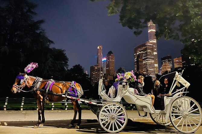Central Park Moonlight Tour with Photo (45 min) ~ Skip the line - The 45-minute itinerary: what you’ll see on the South, East, North, and West sides
