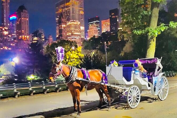Central Park Moonlight Tour with Photo (45 min) ~ Skip the line - Guides on the route: movie spots, park stories, and a calm pace