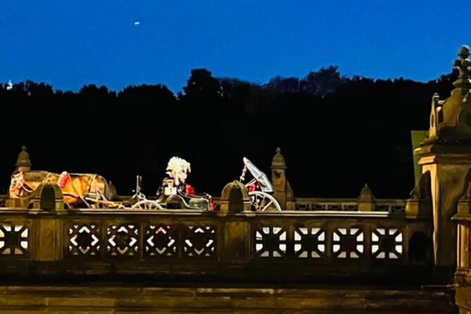 Central Park Moonlight Tour with Photo (45 min) ~ Skip the line - Price and value: is $199.99 per group worth it?