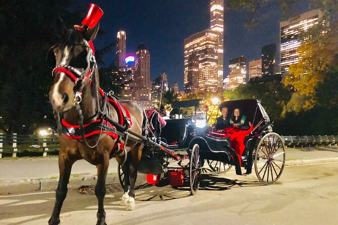 Central Park Moonlight Tour with Photo (45 min) ~ Skip the line - Best fit: couples, families, and night-people