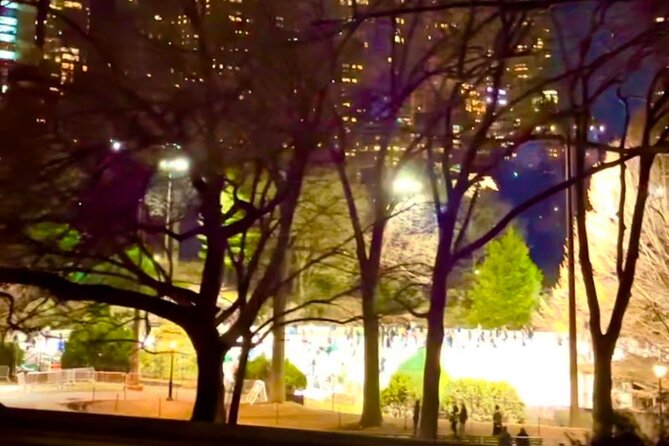 Central Park Moonlight Tour with Photo (45 min) ~ Skip the line - Should you book this Central Park Moonlight Tour with Photo?