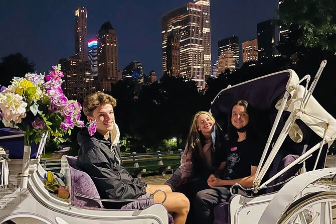 Central Park Moonlight Tour with Photo (45 min) ~ Skip the line - The photo stop: where the best shots usually come from