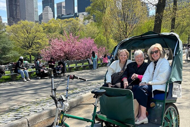 Central Park Movie Locations and Celebrity Homes Pedicab Tour - The Plaza, the park, and the movie lunch: Boathouse and romantics on the water