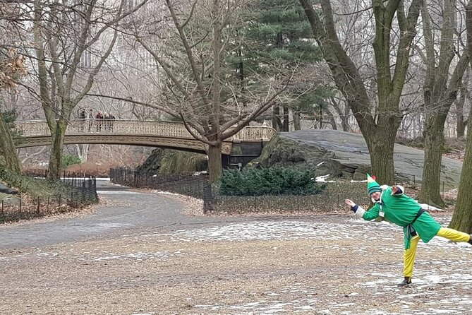 Central Park Movie Locations and Celebrity Homes Pedicab Tour - Photo-friendly park icons: Strawberry Fields, Sheep Meadow, Pinebank Arch, and more