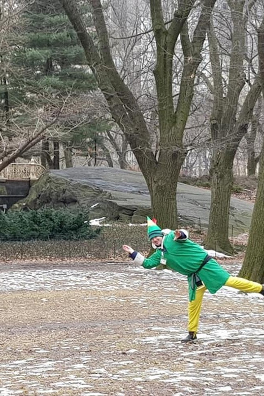 Central Park Movie Locations & Celebrity Homes Tour - The movie-route from Wollman Rink to Plaza Hotel: Christmas energy and classic escape scenes