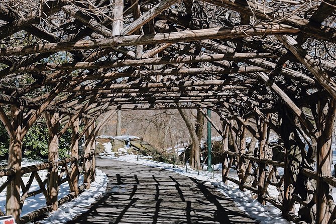 Central Park New York - Exclusive Guided Walking Tour - Entering Central Park Without the Maze Effect