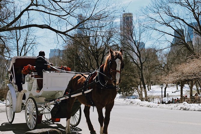 Central Park New York - Exclusive Guided Walking Tour - The Route: How the 2.5 Hours Feel in Real Life