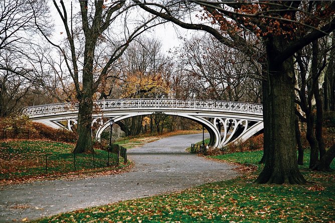 Central Park New York Guided Walking Tour Semi-Private 12ppl Max - Turtle Pond, the Great Lawn, and Why Bethesda Terrace Works for Photos