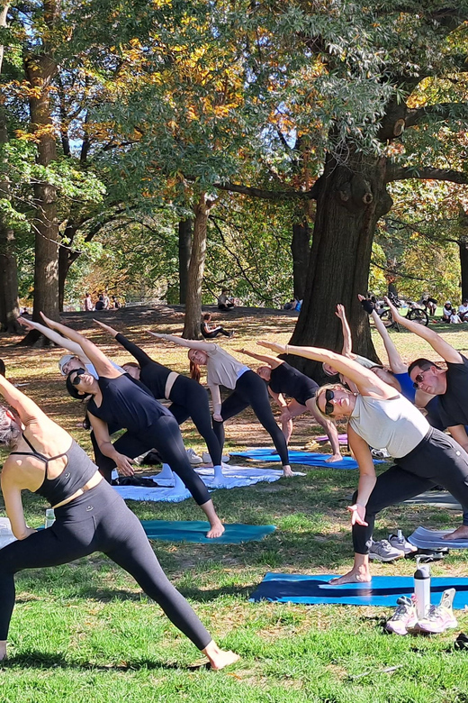 Central Park, New York: Yoga Classes in the park since 2012 - What Happens in the 1-Hour Session (and How It’s Structured)