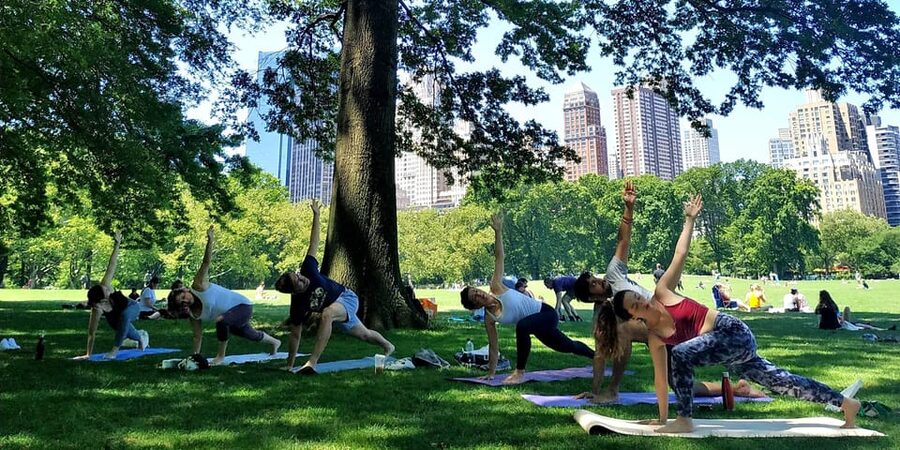Central Park, New York: Yoga Classes in the park since 2012 - Finding Your Spot: Le Pain Quotidien and the Sheep Meadow Walk