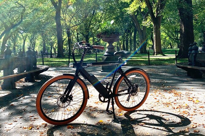 Central Park NYC Electric Bike Rental - How much it costs (and where extra charges can pop up)