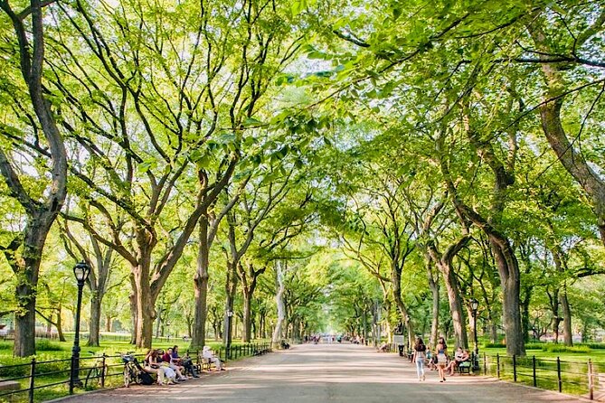 Central Park Pedicab Guided Tours - 1, 1.5 & 2Hrs - Belvedere Castle Viewpoint and the Photos You’ll Want
