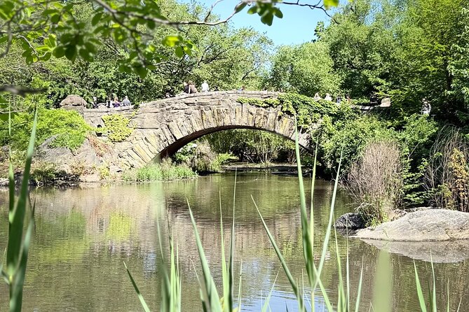 Central Park Pedicab Guided Tours with Theater - Meeting point and what your ride setup looks like