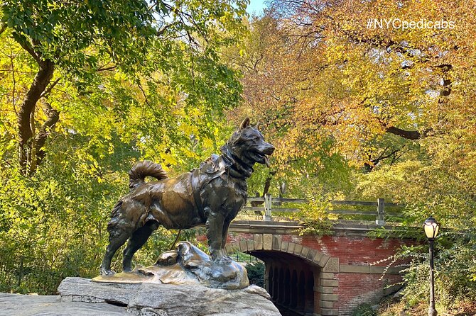 Central Park Pedicab Rickshaw Tours - Stop-by-stop breakdown: what you’ll see and what to watch for