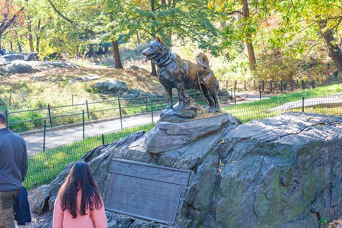 Central Park Pedicab Tour / Photo Stops - Carousel, Chess & Checkers, and Wollman Rink: quick hits with strong payoff