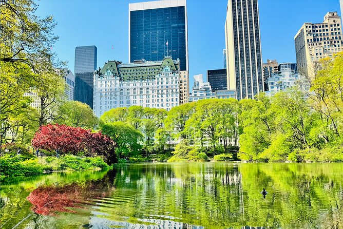 Central Park Pedicab Tour / Photo Stops - The guide-driven ride: how the tour actually moves through the park