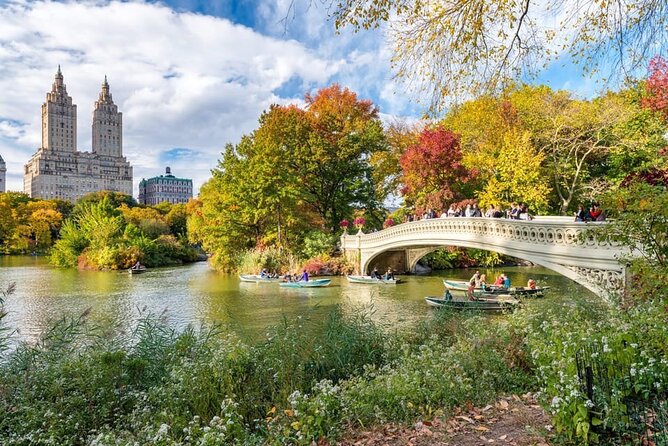 Central Park Pedicab Tour with local Guide - Bow Bridge to the Dakota: classic skyline drama and a real-life story