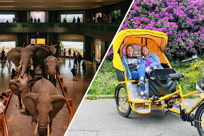 Central Park Pedicab Tour with Natural History Museum Access - How a 1-Hour Pedicab Turns Central Park Into a Clear, Doable Plan