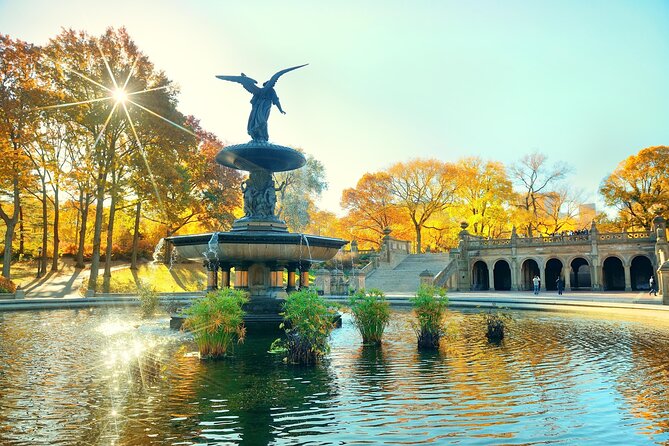 Central Park Pedicab Tours - Starting at 1792 Broadway: How the Private Tour Runs