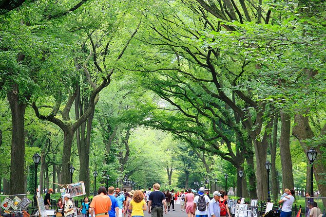 Central Park Photography Tour with Local Photographer - Bethesda Fountain and Terrace: symmetry, height, and classic New York drama