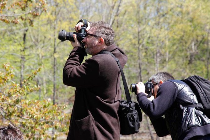 Central Park Photography Tour with Local Photographer - Metropolitan Museum of Art and American Museum of Natural History: big backdrops without the detour