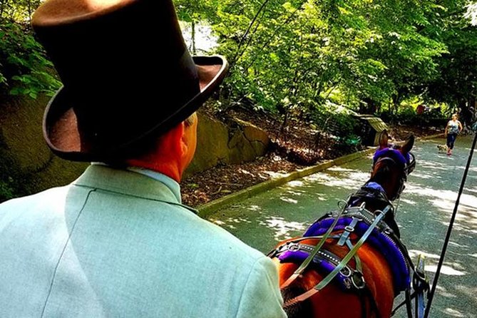 Central Park Private Horse and Carriage Tour - A Classic Central Park Ride, Minus the Walking Maze