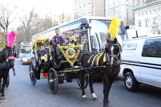 Central Park Private Horse Carriage Tour in NYC - Key highlights I’d plan around