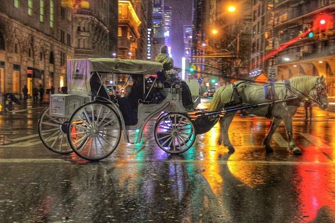 Central Park Private Horse Carriage Tour in NYC - A 45-Minute Carriage Ride That Gets You Oriented Fast