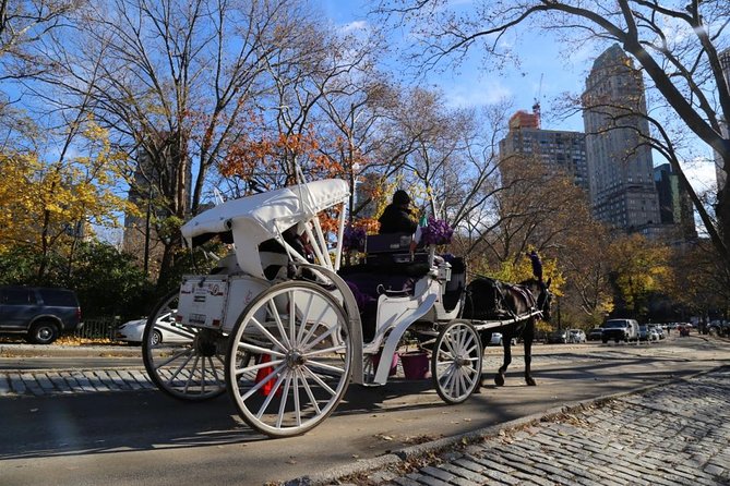 Central Park Private Horse Carriage Tour in NYC - From the Zoo to the Plaza Hotel: Lake Views, Balto, and the Mall