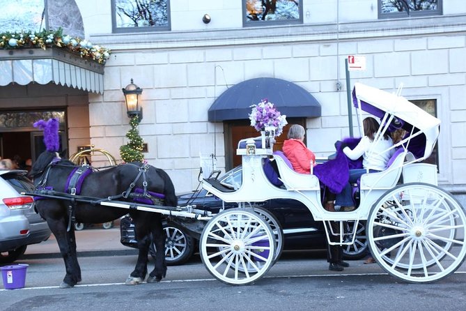 Central Park Private Horse Carriage Tour in NYC - Bethesda Fountain to Bow Bridge: The Central Park Classics in One Stretch